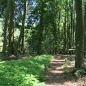 Foto - andere in Osnabrück