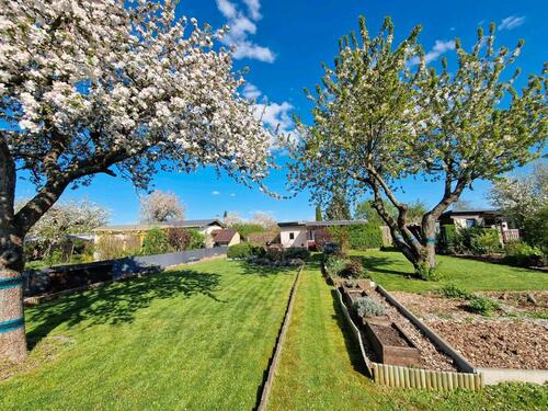 Foto - Grundst&uuml;ck in Nordhausen zur Miete