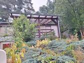Foto - Idyllischer Bungalow am Waldrand von Bucha