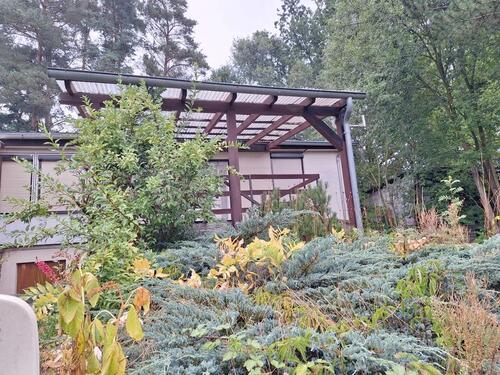 Foto - Idyllischer Bungalow am Waldrand von Bucha