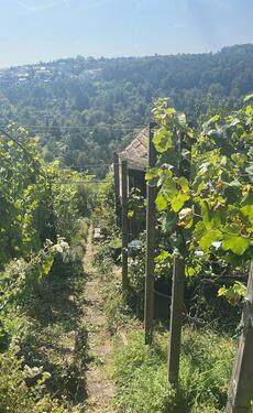 Foto - Traumhaftes Wein-Gartengrundstück mit Weinberghütte Rohracker