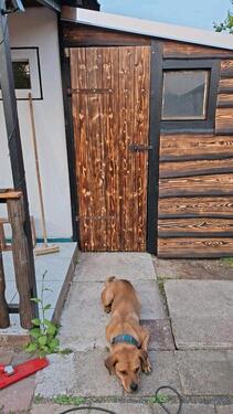 Foto - Grundstück in Eisenach