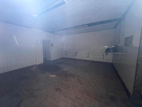 Foto - andere zur Miete in Bingen am Rhein