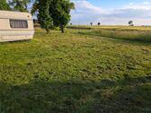 Foto - Stellplatz Camper Wohnwagen - 50,00 EUR Miete,