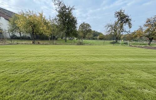 Foto - Etagenwohnung in Perl