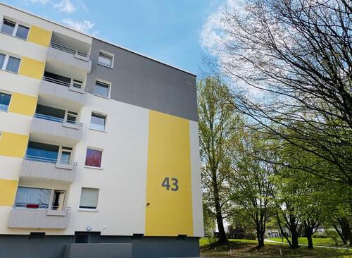Foto - Bezugsfertiges, gemütliches Single Apartment