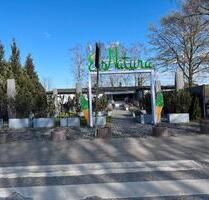 Eiscafé inkl. alle Geräte in sehr gute Lage abzugeben - Hamburg Hamburg-Mitte