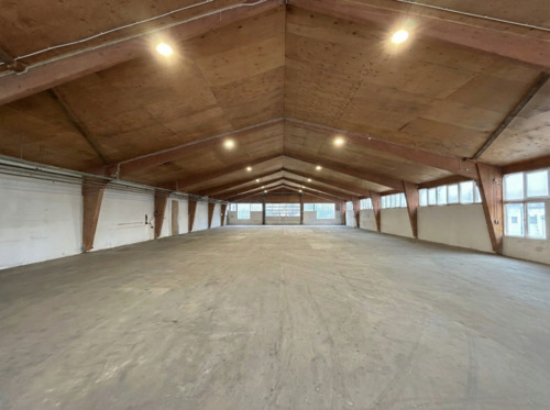 Foto - andere in Freren