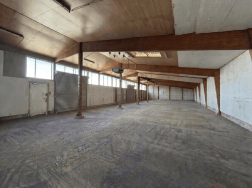 Foto - andere in Freren zur Miete