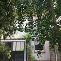 Foto - Einfamilienhaus in Bretten zum Kaufen