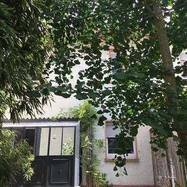 Foto - Einfamilienhaus in Bretten zum Kaufen