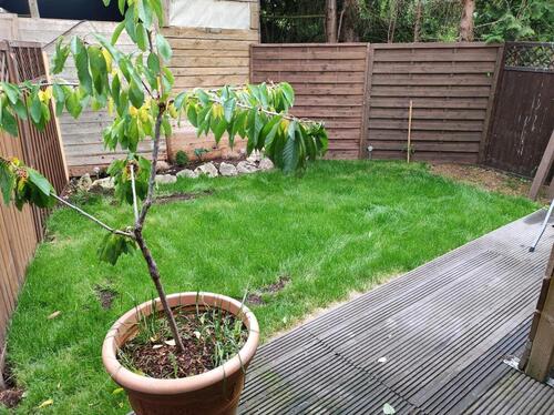 Foto - 1 Zimmer Erdgeschoßwohnung zur Miete in Gunzenhausen