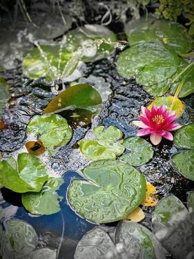 Foto - Kleingarten in Kavelsdorf - 999,00&nbsp;EUR Kaltmiete, ca.&nbsp; 0,00&nbsp;m&sup2;