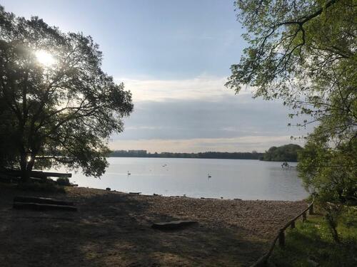 Foto - 5 Zimmer Einfamilienhaus in Berlin