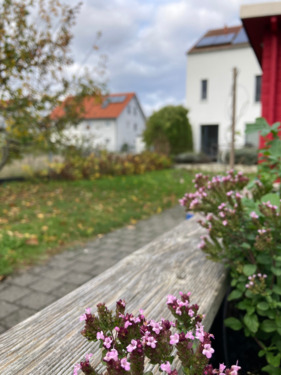 Foto - 5 Zimmer Einfamilienhaus in Waghäusel