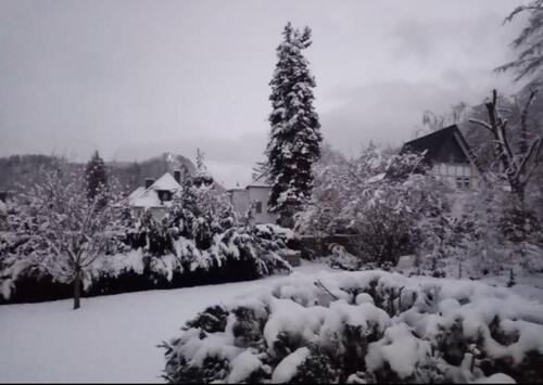 Foto - 1 Zimmer Etagenwohnung zur Miete in Bad Harzburg
