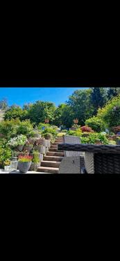 Foto - 90 qm wohnung mit ca. 470qm Garten und Garage wie Stellplatz