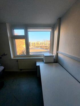 Foto - 1 Zimmer Etagenwohnung in Dresden