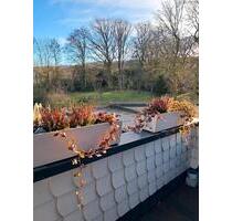 Ruhige,naturnahe 2-Zimmer Wohnung in Hürtgenwald-Gey zu vermieten