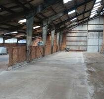 Vermietung Halle - 2,00&nbsp;EUR Kaltmiete, ca.&nbsp; 500,00&nbsp;m&sup2; in Böklund (PLZ: 24860)