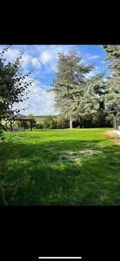 Foto - Einfamilienhaus zum Kaufen in Albisheim (Pfrimm)