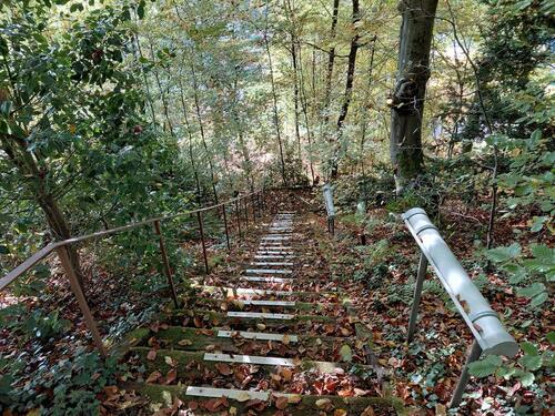Foto - Einfamilienhaus zum Kaufen in Bad Bergzabern