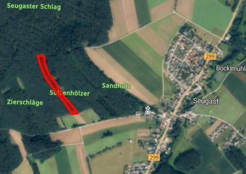 Foto - Ca. 1,4 ha Wald-, Forstgrundstück