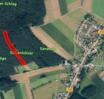 Ca. 1,4 ha Wald-, Forstgrundstück - Freihung