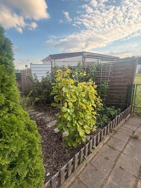 Foto - Grundst&uuml;ck in Berlin