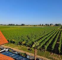 Biete wunderschönes Zweifamilienhaus in bester Lage an. - Freimersheim (Pfalz)