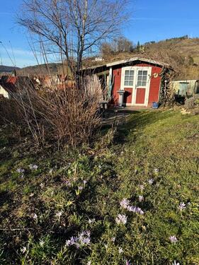 Foto - Grundst&uuml;ck in Kahla