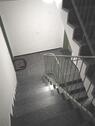 Foto - Etagenwohnung in Celle zur Miete