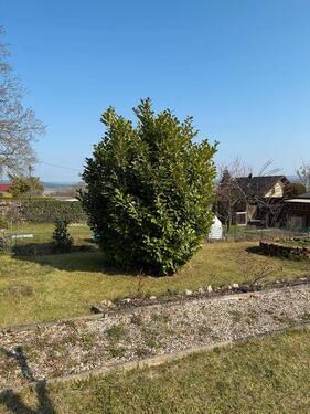 Foto - Grundst&uuml;ck zur Miete in Pößneck