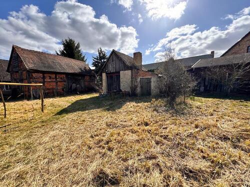 Foto - 4 Zimmer Einfamilienhaus zum Kaufen in Märkische Heide