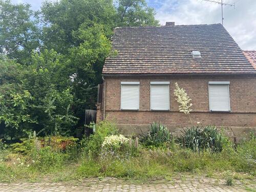 Foto - sanierungsbedürftiges Haus mit großem Grundstück