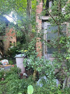 Foto - Einfamilienhaus zum Kaufen in Aschersleben