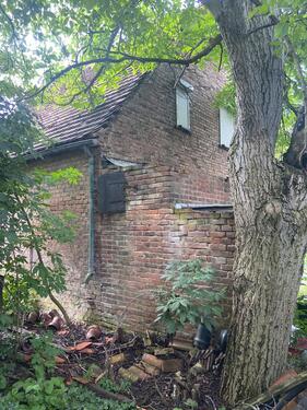 Foto - Einfamilienhaus in Aschersleben