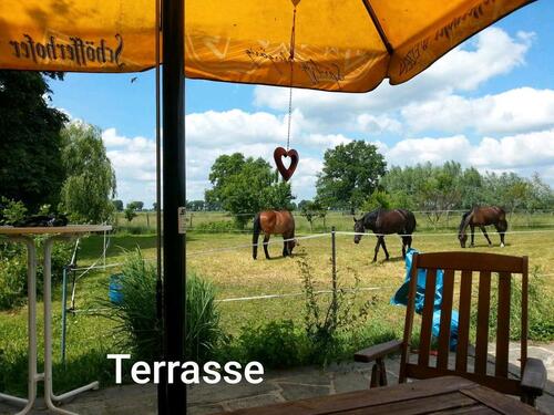 Foto - 5 Zimmer Einfamilienhaus in Rathenow