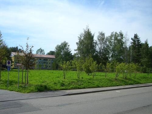 Foto - 