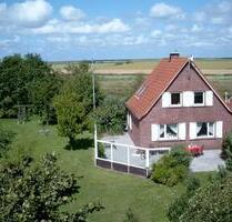 Freistehendes Friesenhaus auf 2000m² Grundstück, Hunde erlaubt - Dornum