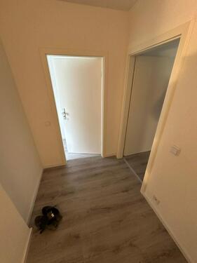 Foto - 5 Zimmer Etagenwohnung zur Miete in Tuttlingen