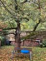 Foto - Einfamilienhaus in Meißen