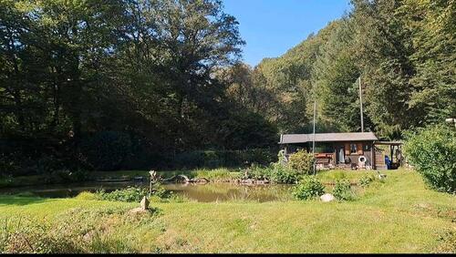 Foto - Teichanlage Teichgrundstück Angelteich Freizeitgrundstück