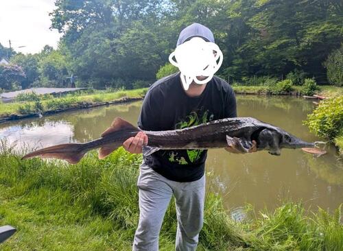 Foto - Grundstück in Oberlahr zur Miete