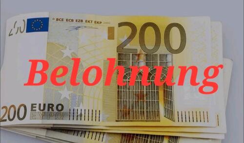 Foto - Haus oder EG-Wohnung - 800,00 EUR Kaltmiete,