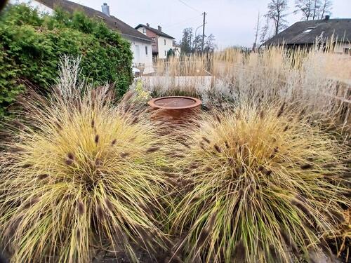 Foto - Einfamilienhaus in Münchsmünster zum Kaufen