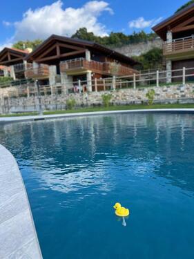 Foto - Wohnung am Gardasee mit Seeblick (Dauermiete)