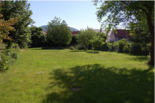 Foto - 2 Zimmer Erdgeschoßwohnung in Alfeld (Leine)