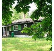 Charmantes kleines Haus auf großem Waldgrundstück - Wedemark