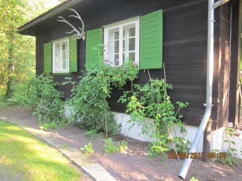 Foto - Einfamilienhaus in Wedemark zum Kaufen